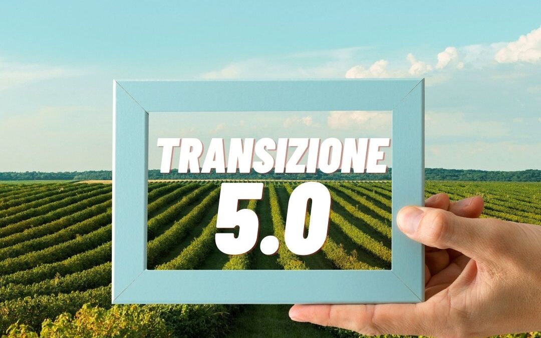 Webinar MIMIT FEDERCAMA su Misura 5.0 _ 25 febbraio ore 12.00